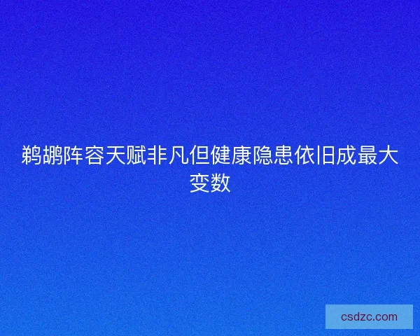 鹈鹕阵容天赋非凡但健康隐患依旧成最大变数