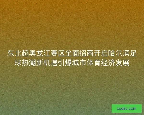 东北超黑龙江赛区全面招商开启哈尔滨足球热潮新机遇引爆城市体育经济发展
