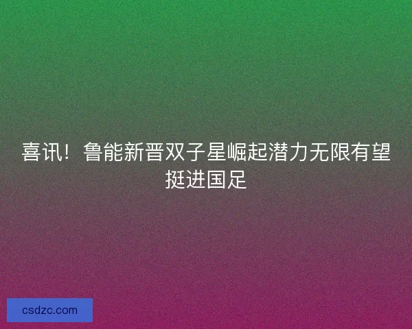 喜讯！鲁能新晋双子星崛起潜力无限有望挺进国足